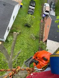 Top-rated yard maintenance experts serving Bowling Green, KY - JEA Lawn Service