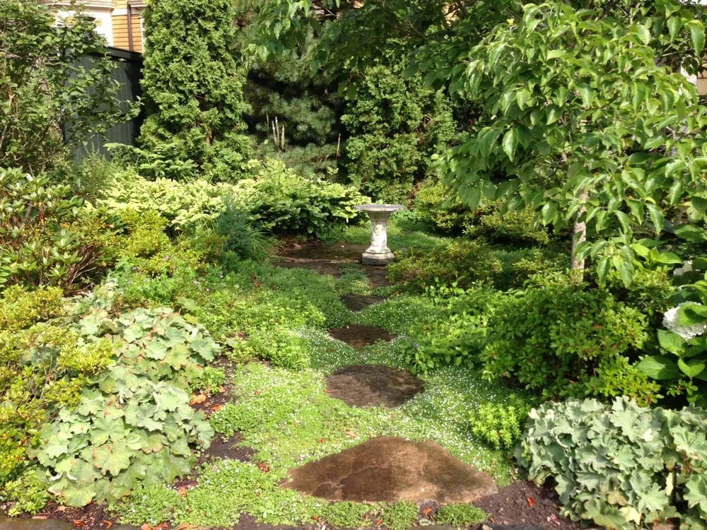 Expert garden landscaping for beautiful yards in Chelsea, MA by Jean Brooks Landscapes