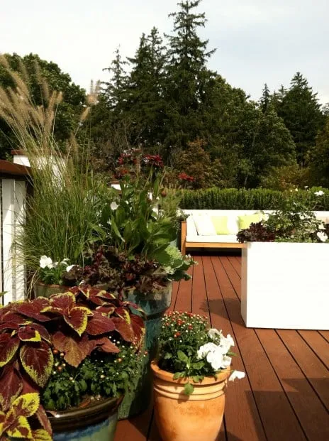 Reliable lawn mowing service for year-round maintenance in Chelsea, MA by Jean Brooks Landscapes