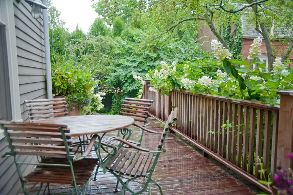 Top-rated yard cleanup service for year-round maintenance in Chelsea, MA by Jean Brooks Landscapes