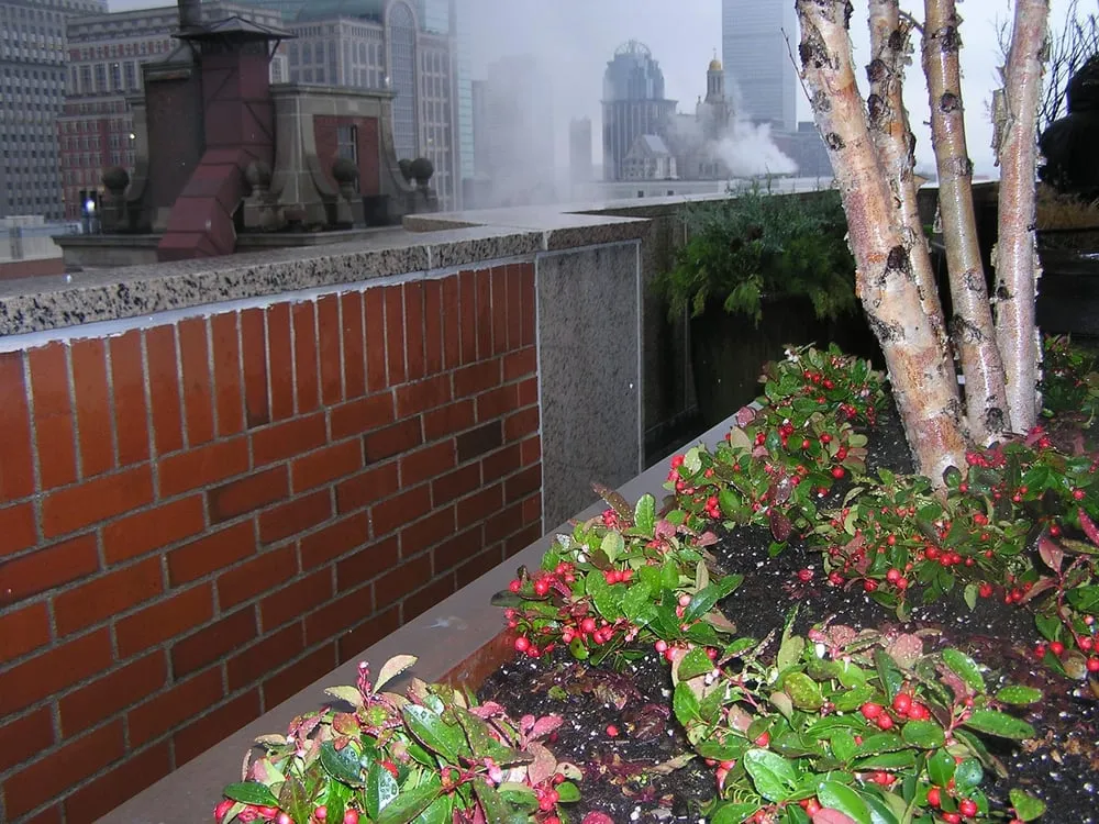 Trusted landscaping services experts serving Chelsea, MA - Jean Brooks Landscapes