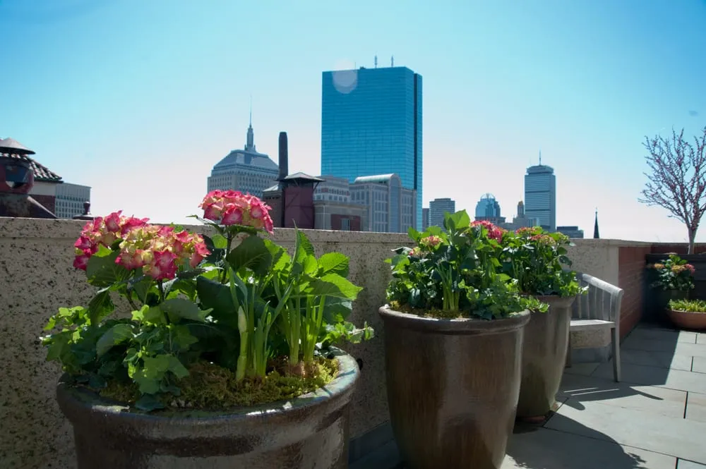 Top-rated landscaping services near you in Chelsea, MA by Jean Brooks Landscapes