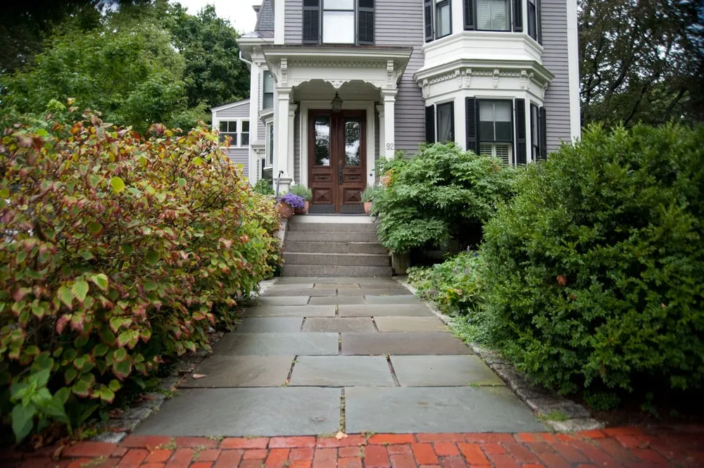 Reliable yard cleanup service experts serving Chelsea, MA - Jean Brooks Landscapes