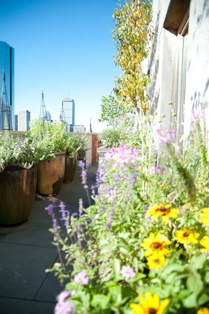 Affordable residential landscaping for year-round maintenance across Chelsea, MA - Jean Brooks Landscapes