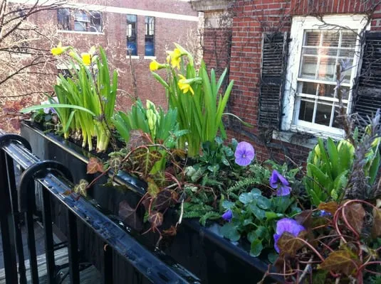 Jean Brooks Landscapes