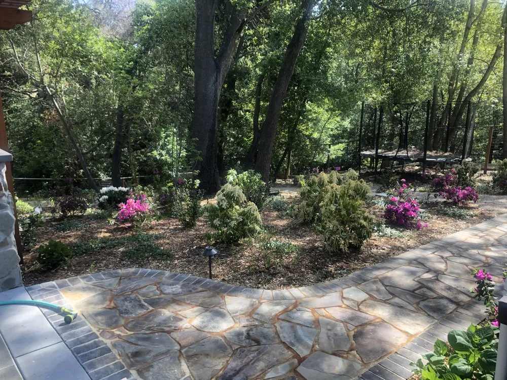 Custom yard maintenance for residential properties across Concord, CA - Jean Fogg Landscape