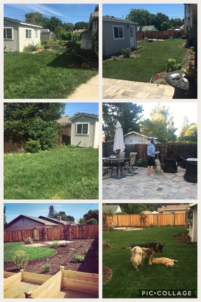 Top-rated outdoor landscaping for homes across Concord, CA - Jean Fogg Landscape