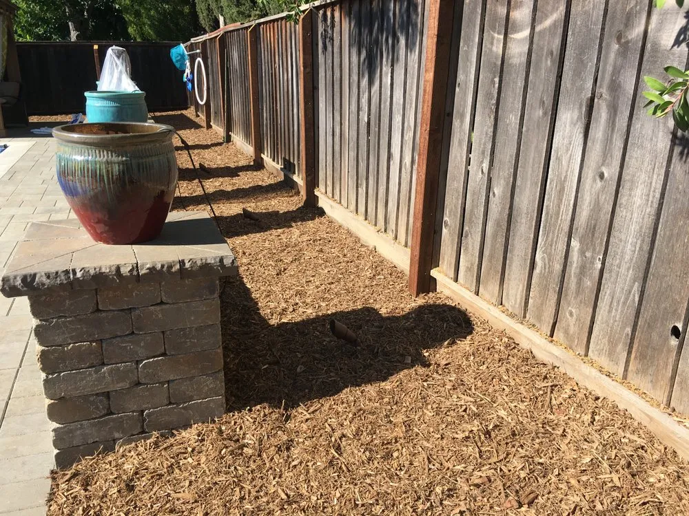 Expert yard maintenance in Concord, CA - Jean Fogg Landscape