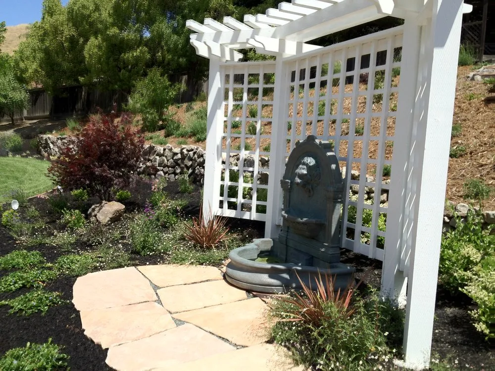 Professional yard cleanup service for beautiful yards across Concord, CA - Jean Fogg Landscape