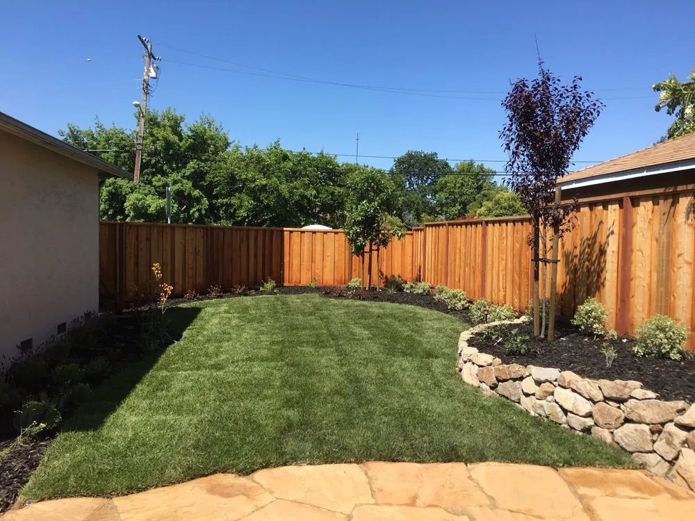 Custom yard cleanup service experts serving Concord, CA - Jean Fogg Landscape