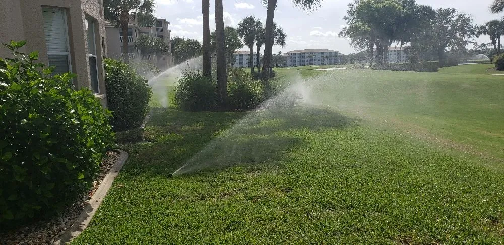 Professional yard cleanup service experts serving Lehigh Acres, FL - Jean Lawn Service And Irrigation Repair