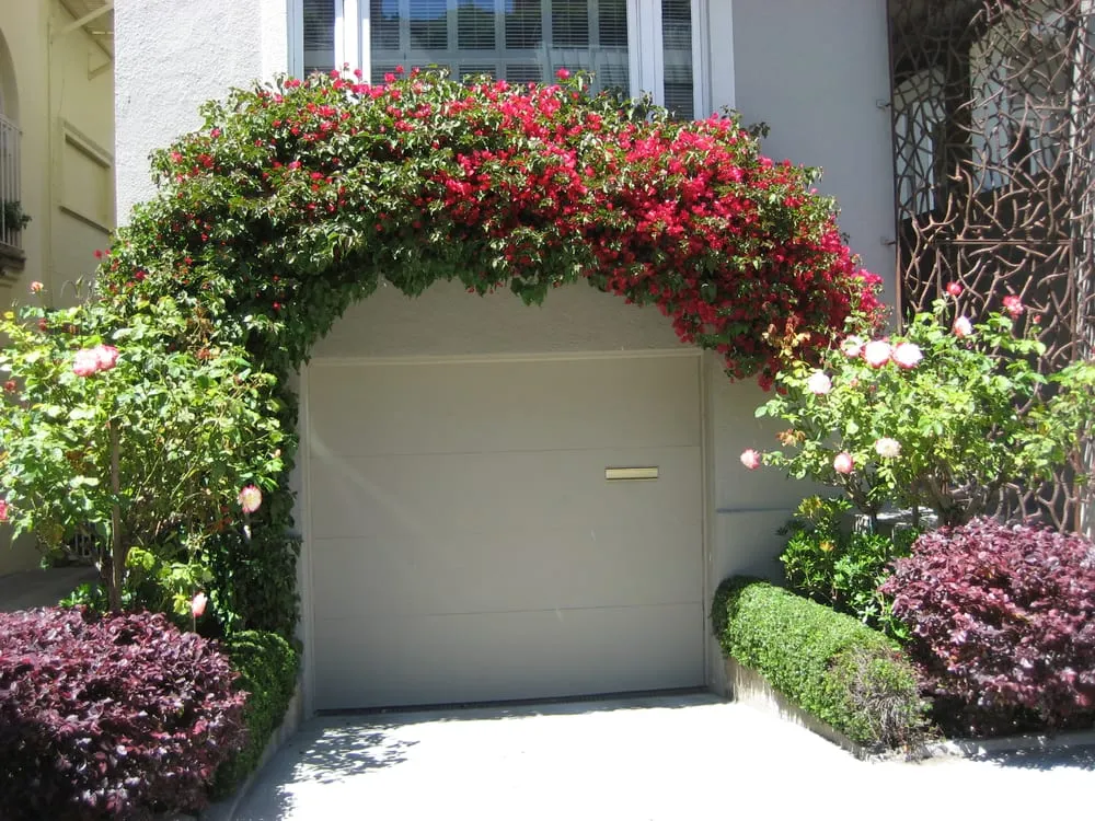 Expert landscape design in San Francisco, CA - Jean Pierre Gardening