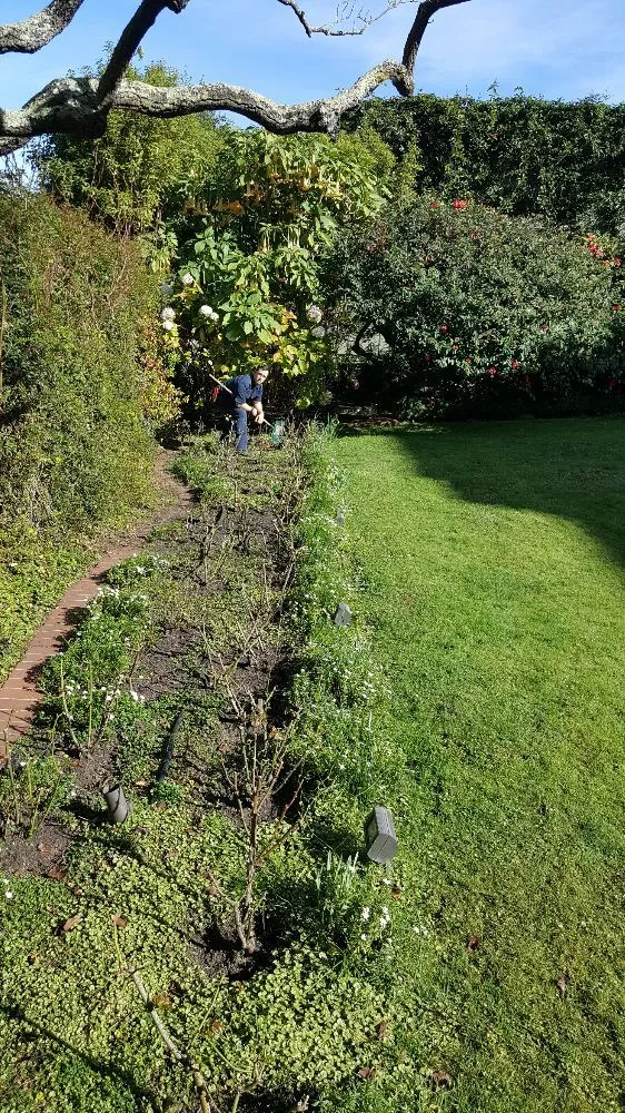 Expert landscape installation for homes across San Francisco, CA - Jean Pierre Gardening