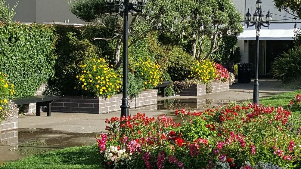 Affordable yard maintenance for residential properties across San Francisco, CA - Jean Pierre Gardening