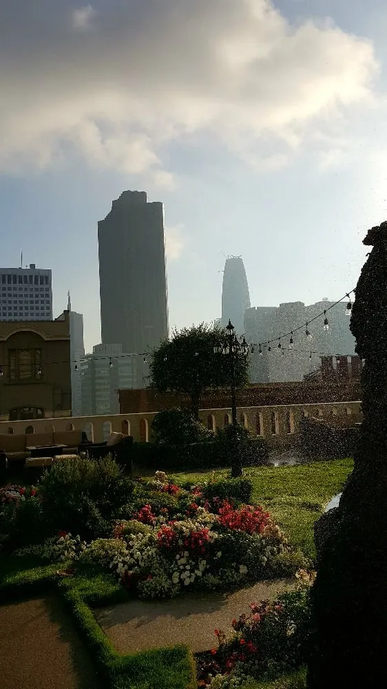 Reliable garden landscaping for year-round maintenance across San Francisco, CA - Jean Pierre Gardening