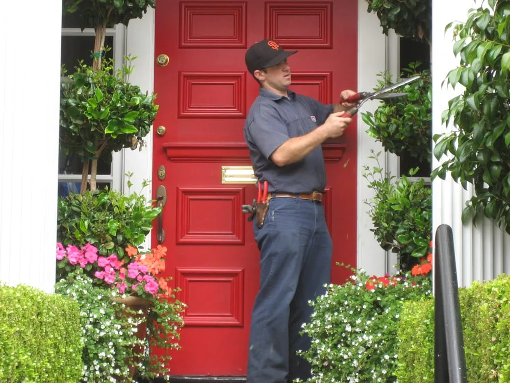 Custom outdoor landscaping in San Francisco, CA by Jean Pierre Gardening