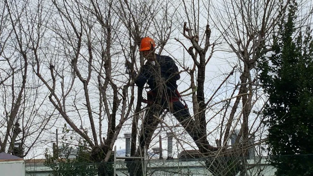 Professional outdoor landscaping in San Francisco, CA - Jean Pierre Gardening