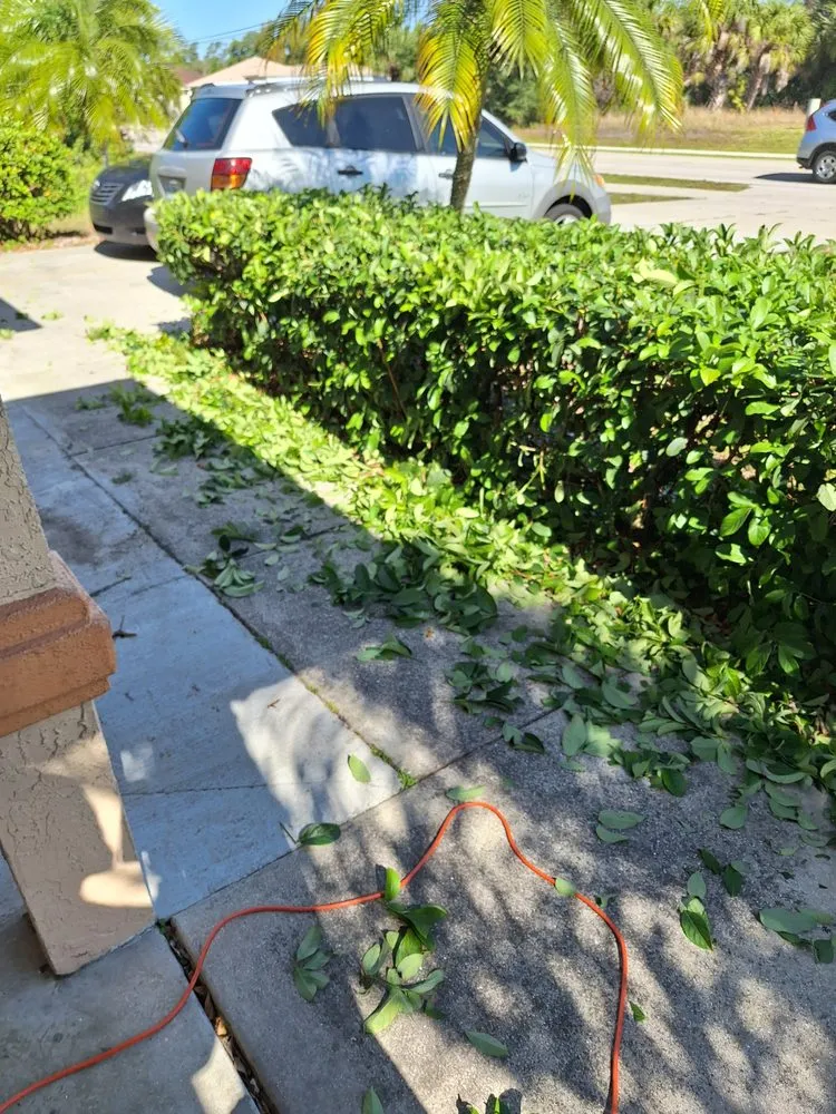 Local lawn mowing service in Port Charlotte, FL by Jeans Mean & Clean Lawn Services