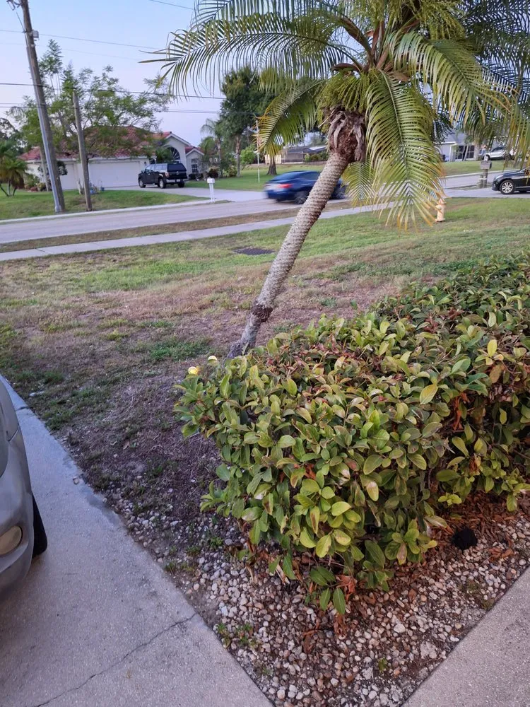 Trusted landscape installation in Port Charlotte, FL by Jeans Mean & Clean Lawn Services