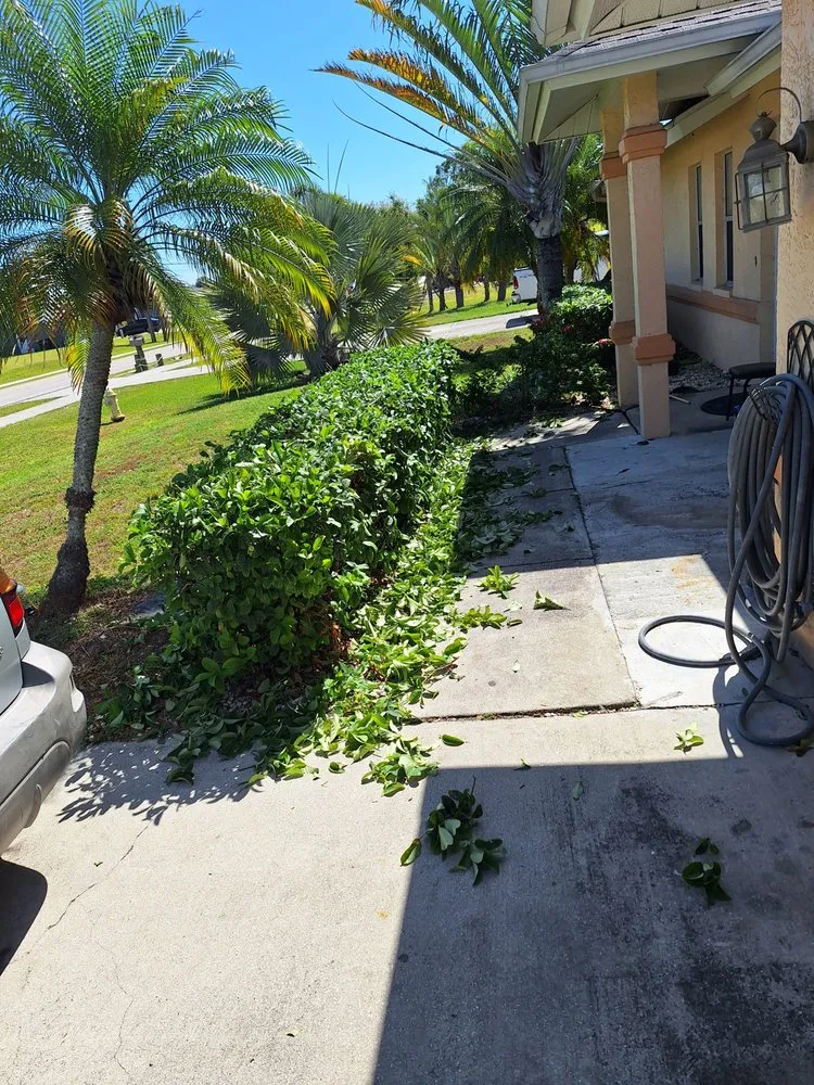 Top-rated outdoor landscaping experts serving Port Charlotte, FL - Jeans Mean & Clean Lawn Services