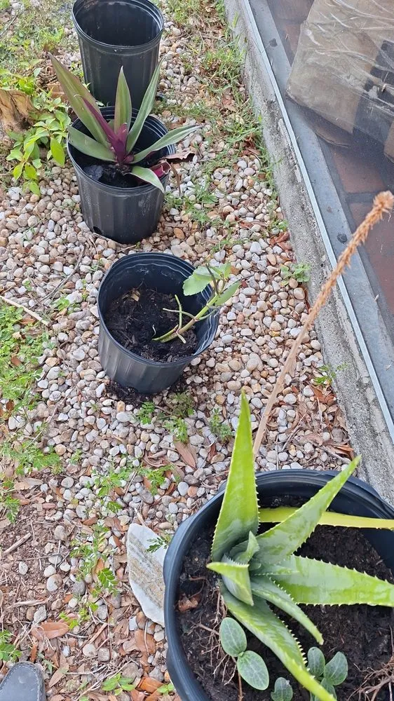 Local garden landscaping experts serving Port Charlotte, FL - Jeans Mean & Clean Lawn Services