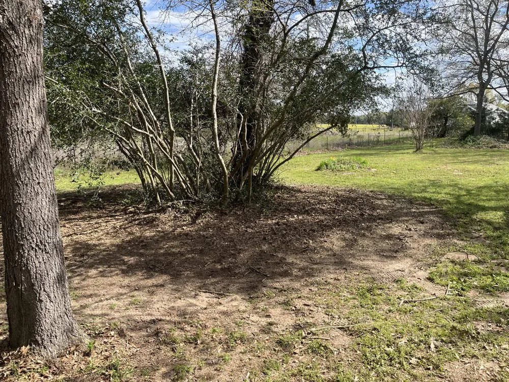 Trusted landscape design in Elkhart, TX - Jeb’s Landscaping