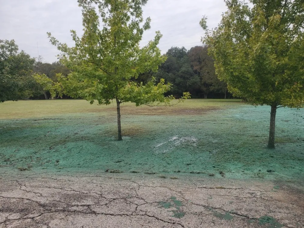 Local outdoor landscaping in San Marcos, TX by Jecker Field Services