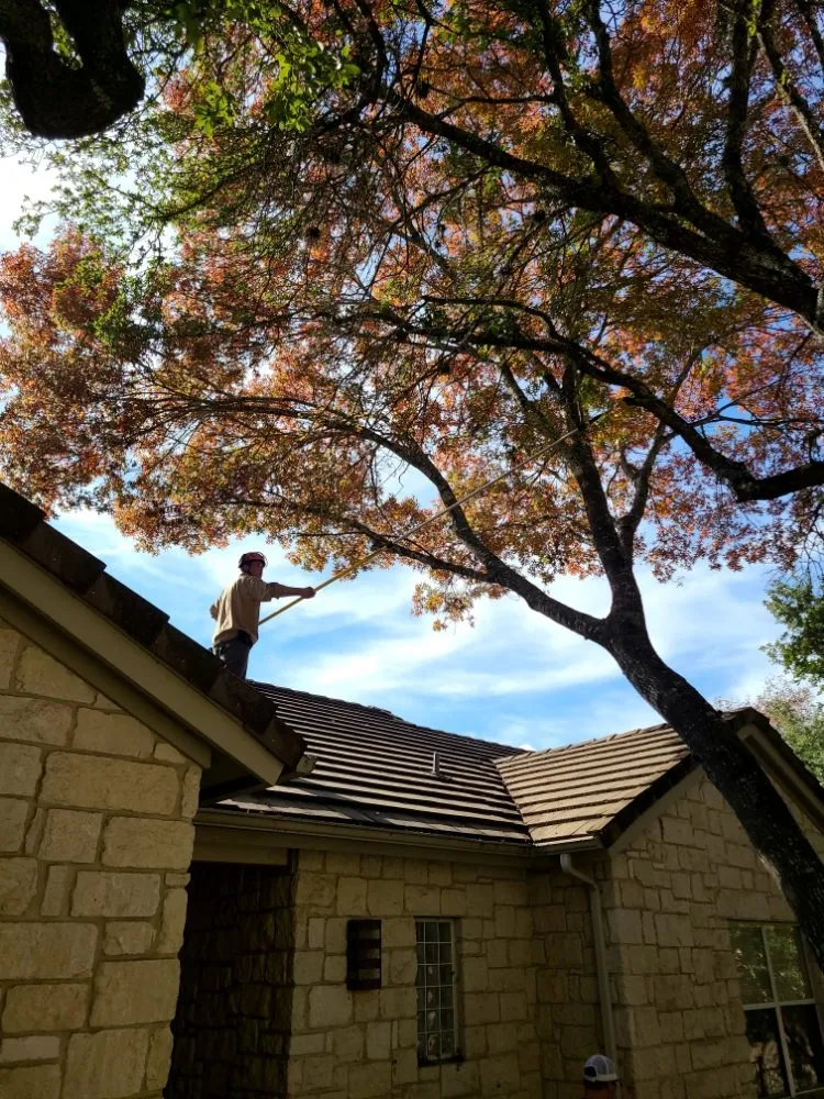 Top-rated residential landscaping for residential properties across San Marcos, TX - Jecker Field Services