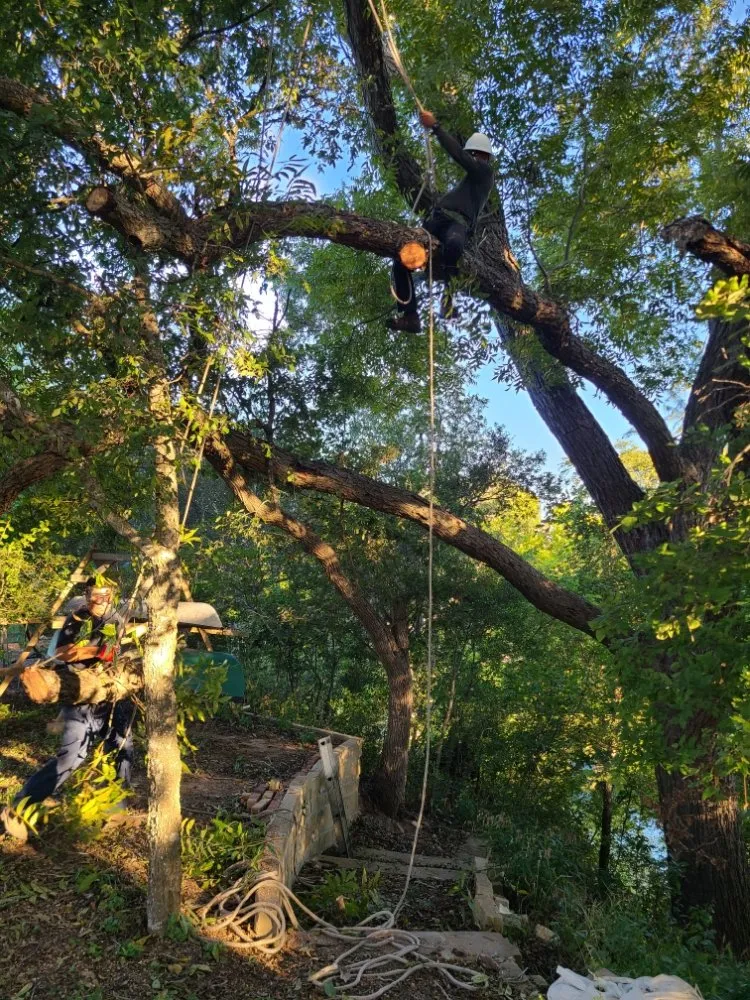 Expert landscape design for outdoor upgrades in San Marcos, TX by Jecker Field Services