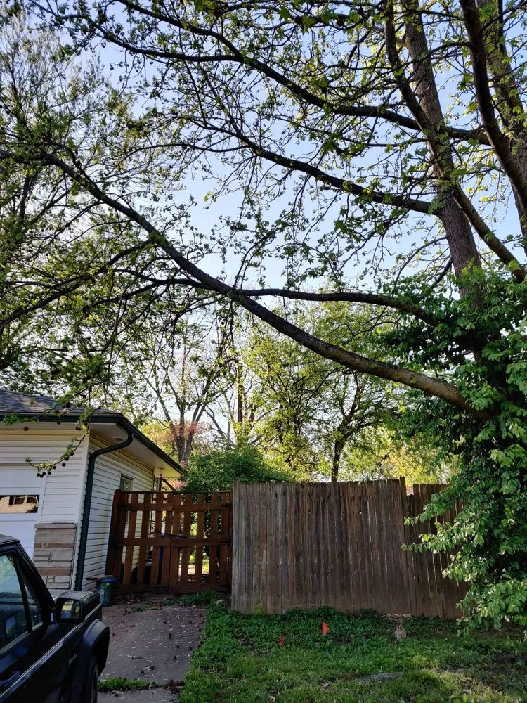 Custom residential landscaping experts serving Florissant, MO - JED Services- Lawn Care And More