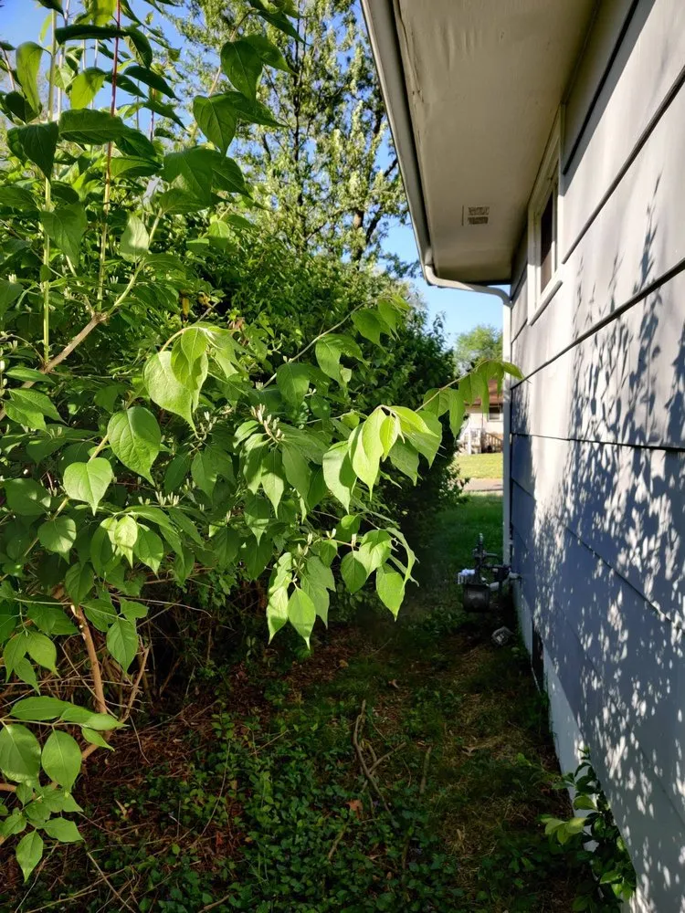 Professional landscaping services for beautiful yards in Florissant, MO by JED Services- Lawn Care And More