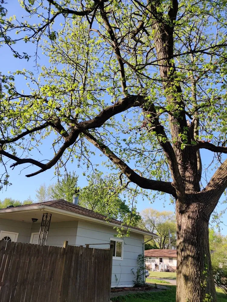 Reliable landscape design for residential properties across Florissant, MO - JED Services- Lawn Care And More