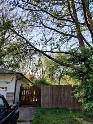 JED Services- Lawn Care And More Logo