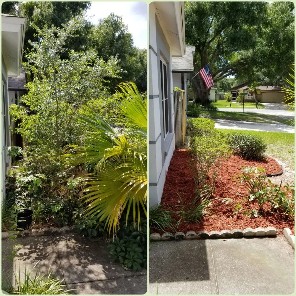 Affordable outdoor landscaping in Seffner, FL by Jeda Landscape and Lawn Service