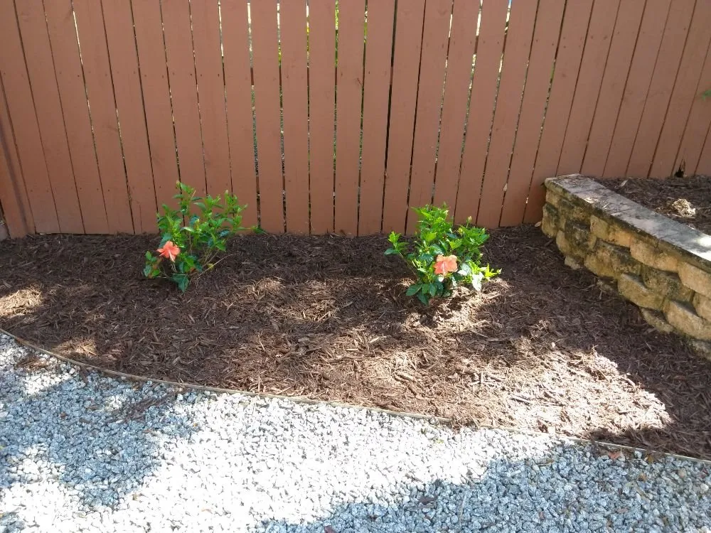 Trusted garden landscaping for outdoor upgrades across Seffner, FL - Jeda Landscape and Lawn Service