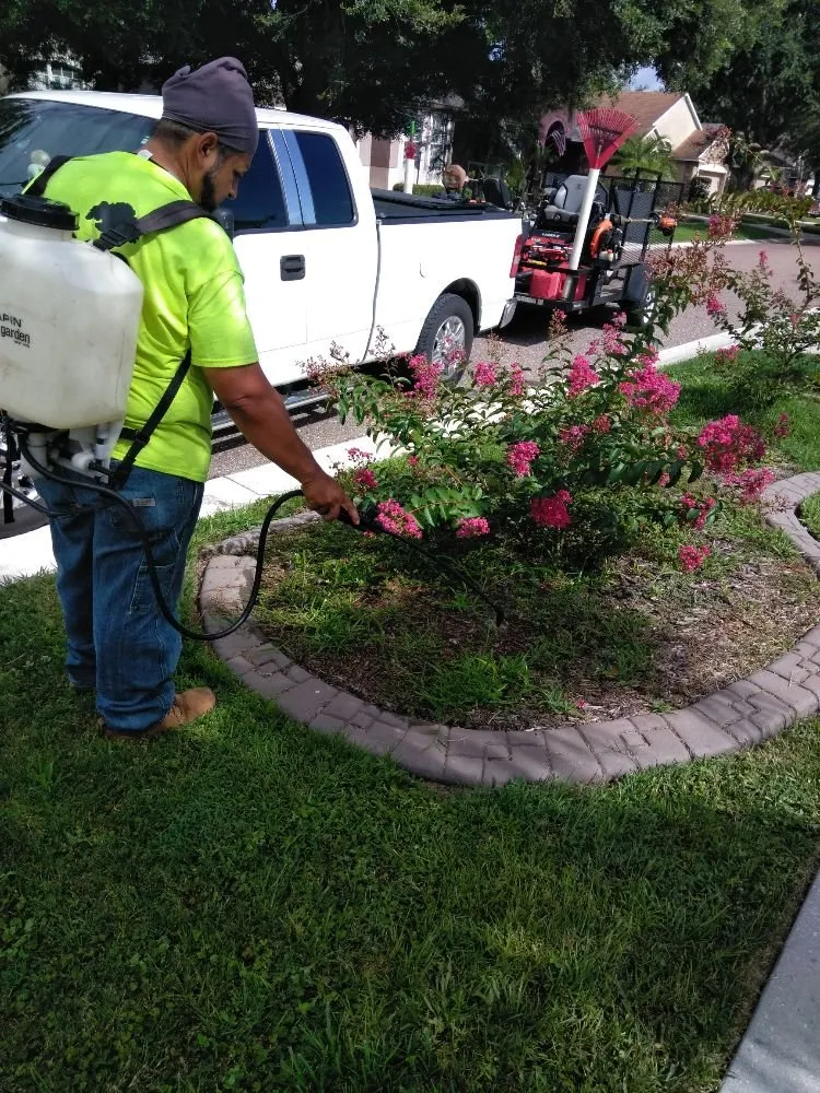 Expert outdoor landscaping experts serving Seffner, FL - Jeda Landscape and Lawn Service
