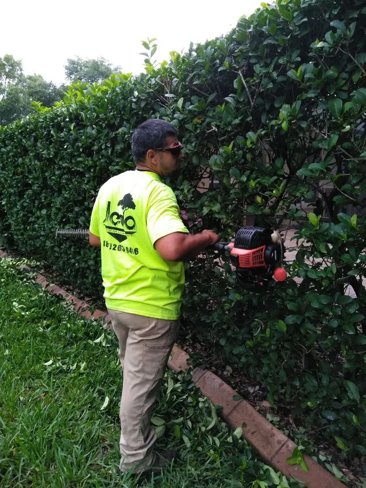 Affordable landscape installation in Seffner, FL by Jeda Landscape and Lawn Service