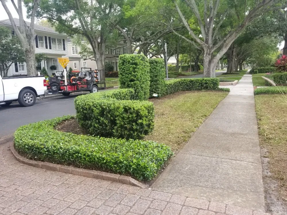 Trusted outdoor landscaping in Seffner, FL - Jeda Landscape and Lawn Service