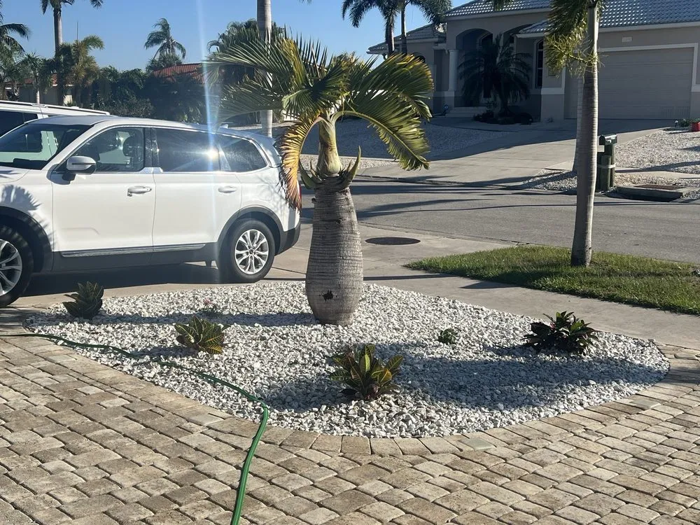 Local residential landscaping experts serving Cape Coral, FL - Jedi Landscaping
