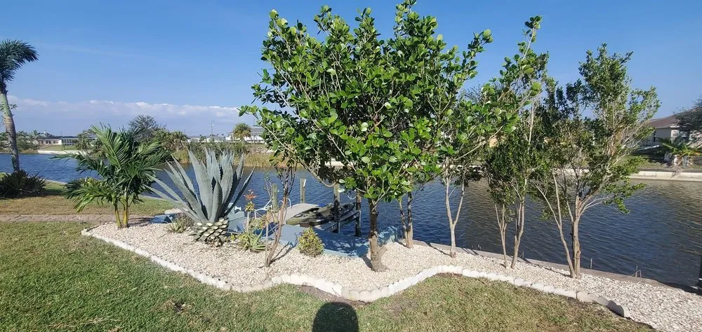 Local yard maintenance in Cape Coral, FL - Jedi Landscaping