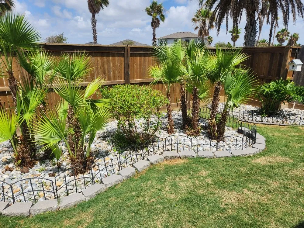 Trusted lawn care service for outdoor upgrades in Corpus Christi, TX by Jedi Lawn Services