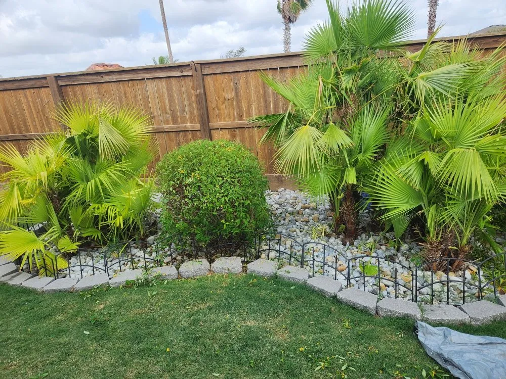 Trusted lawn mowing service in Corpus Christi, TX - Jedi Lawn Services