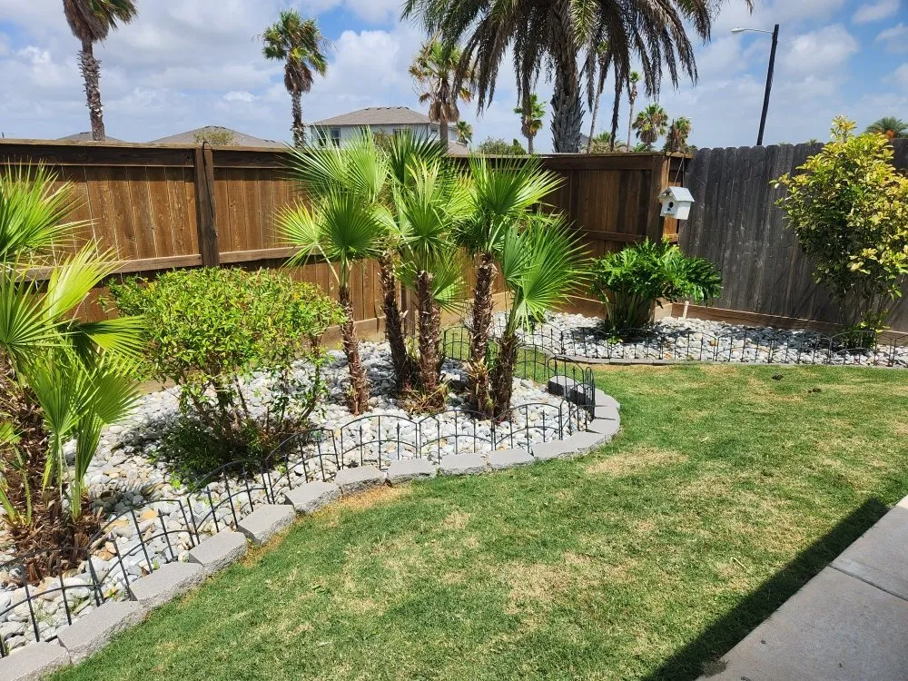 Professional yard maintenance near you across Corpus Christi, TX - Jedi Lawn Services