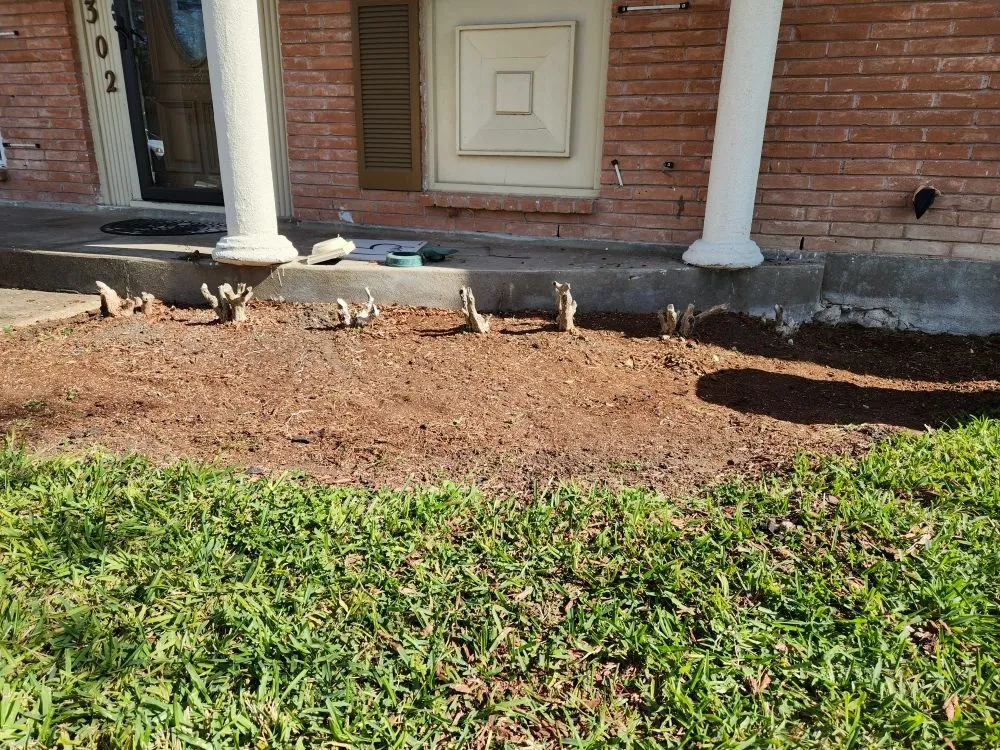 Expert lawn mowing service for residential properties across Corpus Christi, TX - Jedi Lawn Services