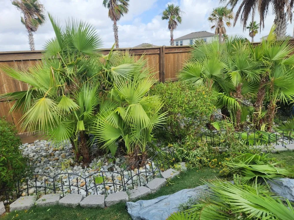 Local landscape design in Corpus Christi, TX by Jedi Lawn Services