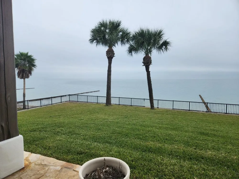 Professional landscaping services for outdoor upgrades in Corpus Christi, TX by Jedi Lawn Services