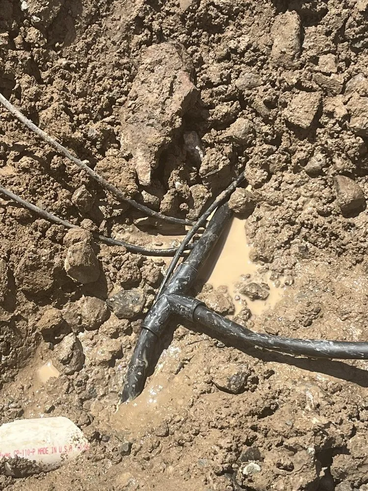 Expert landscaping services in Reno, NV by Jefes Landscaping