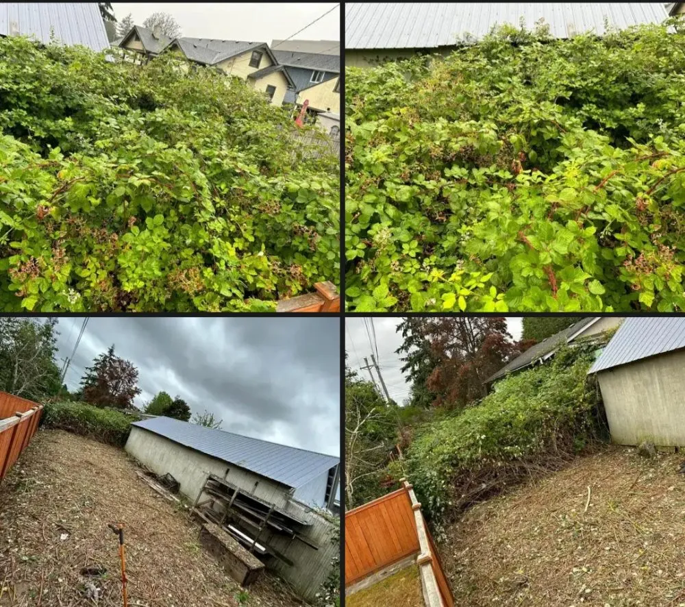 Custom yard maintenance in Seattle, WA by Jefes Landscaping