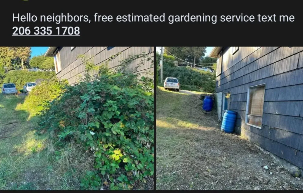 Local lawn mowing service experts serving Seattle, WA - Jefes Landscaping