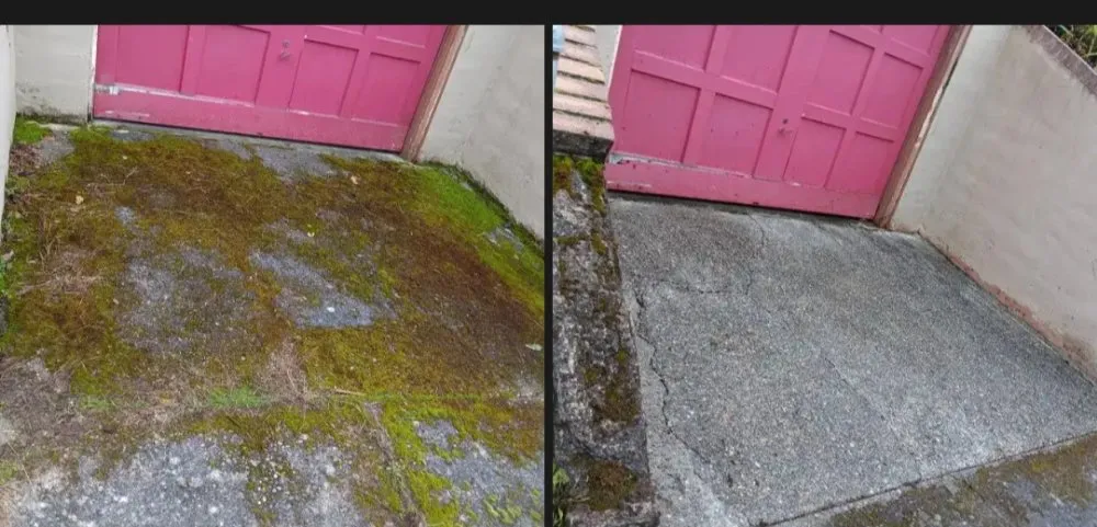 Trusted landscape design in Seattle, WA - Jefes Landscaping